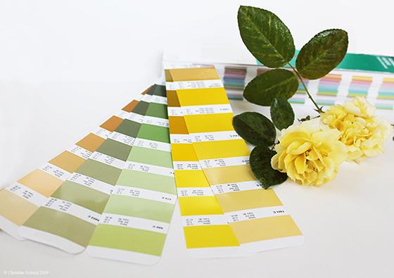 Christine Solazzi Innocent Tints and Shades a Christine Solazzi Innocent Tints and Shades