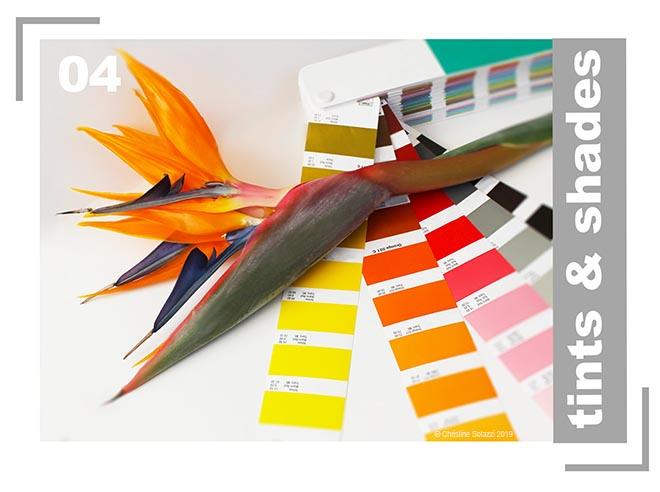 Creative Brand Land Christine Solazzi Regular Guy Girl Tints and Shades Creative Brand Land Christine Solazzi Regular Guy Girl Tints and Shades